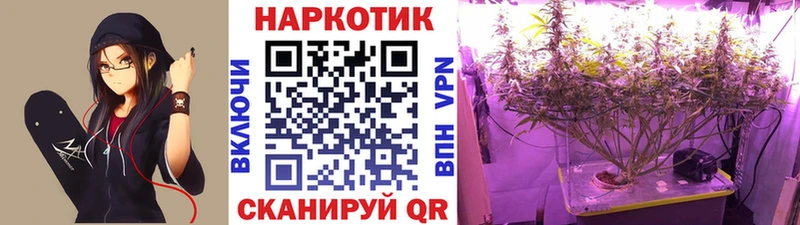 Наркошоп купить A-PVP МЕФ Марихуана Черняховск