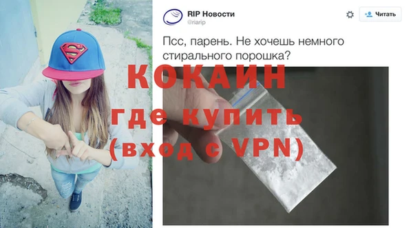 ГАЛЛЮЦИНОГЕННЫЕ ГРИБЫ Бородино