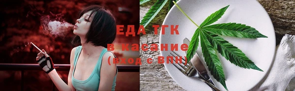 индика Бугульма