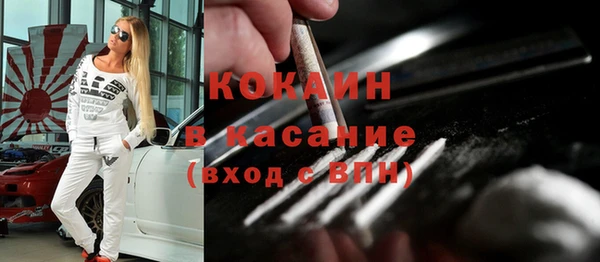 индика Бугульма