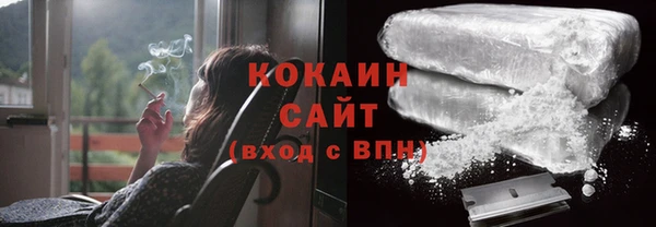 индика Бугульма