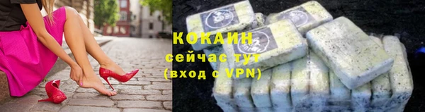 ГАЛЛЮЦИНОГЕННЫЕ ГРИБЫ Бородино