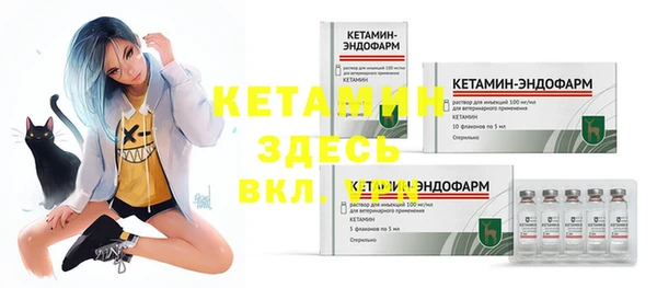 индика Бугульма
