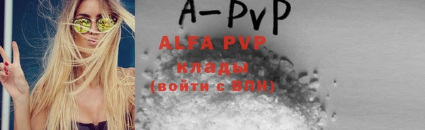 ГАЛЛЮЦИНОГЕННЫЕ ГРИБЫ Бородино