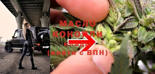 индика Бугульма