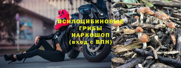 ГАЛЛЮЦИНОГЕННЫЕ ГРИБЫ Бородино
