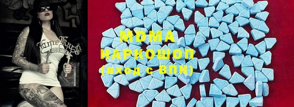 ГАЛЛЮЦИНОГЕННЫЕ ГРИБЫ Бородино