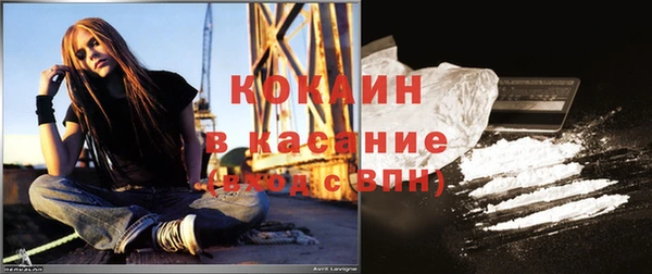 ГАЛЛЮЦИНОГЕННЫЕ ГРИБЫ Бородино