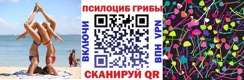Купить где  Черняховск  Псилоцибиновые грибы GOLDEN TEACHER 